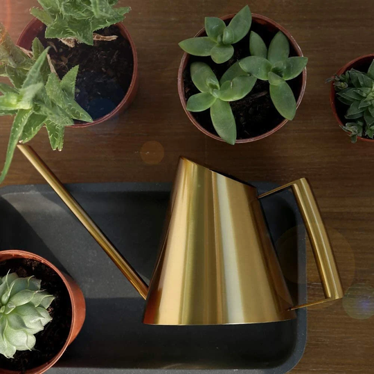 Gold Metal Watering Can | Succulent Care Garden Supplies