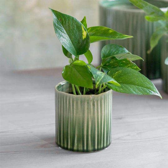 Green Glazed Ceramic House Plant Pot Cover, Geometric Design, Indoor Succulent Planter, Ombre Pot, Retro Ribbed Lines, Nettleton
