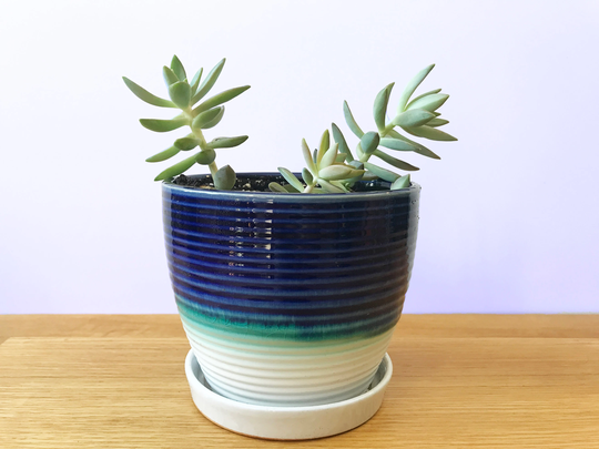Planter With Saucer & Drainage, Ceramic Plant Pot, 5 Inch Cactus Blue Pot For Indoor Plant, Tabletop Succulent Ribbed Tri Color