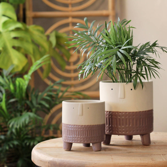 Ceramic 'Arnold' Planters In Pink