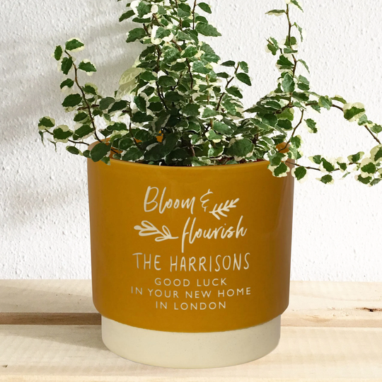 Personalised New Home Indoor Plant Pot,
