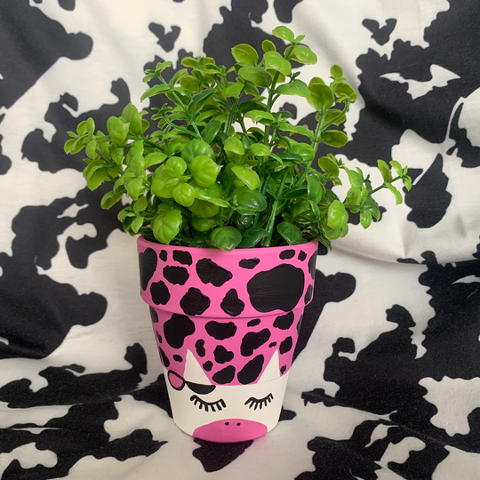 Hand Painted Pink Cow Print Plant Pot