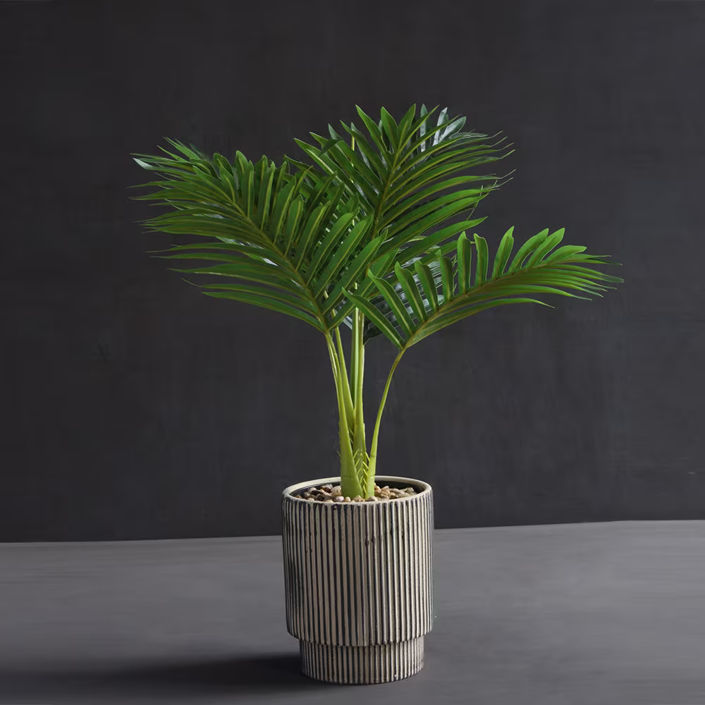 Lagos Planter Ceramic Stoneware Indoor Home Plant Pot - Black Natural