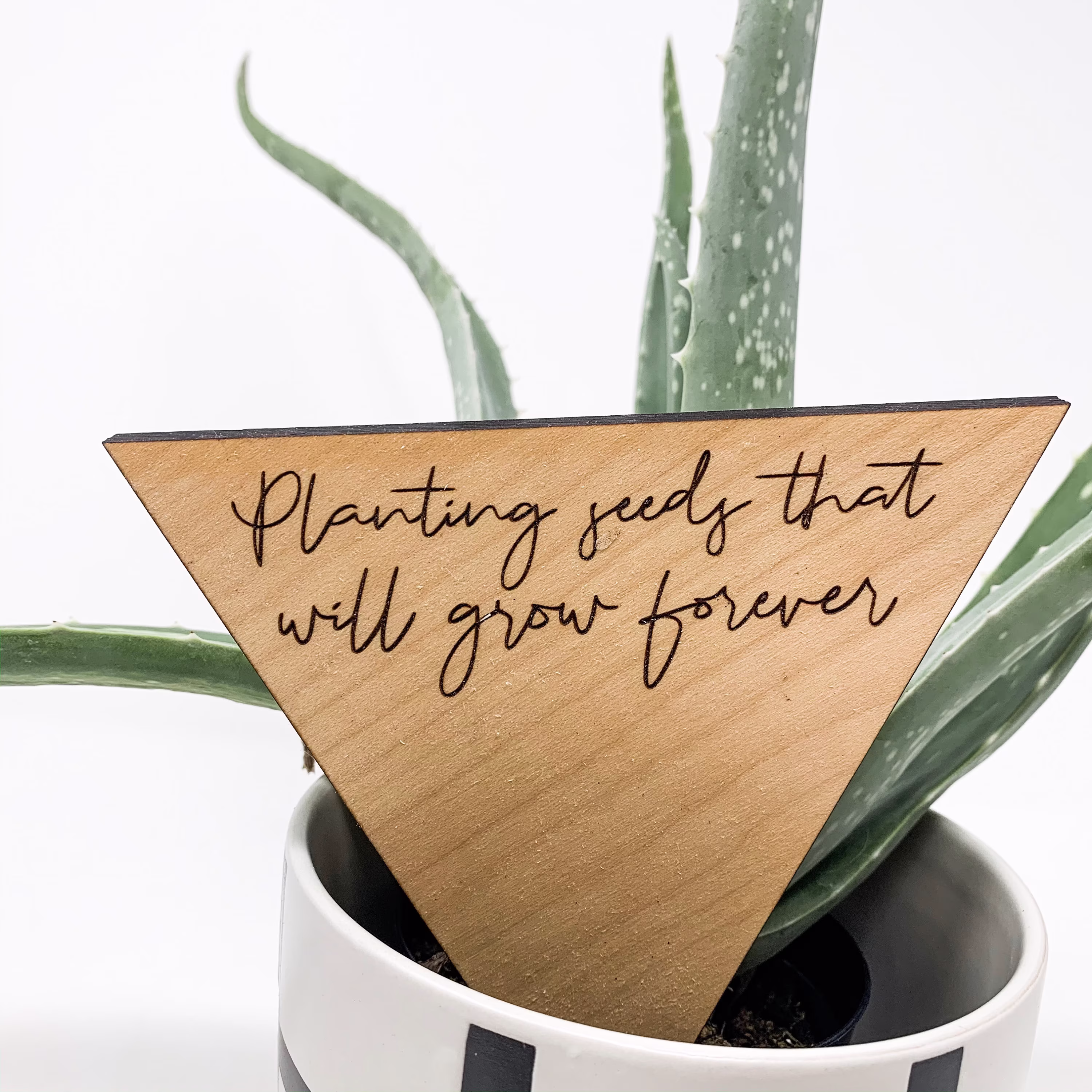 Planting Seeds That Grow Plant Tag - End Of School Year Gift Teacher Idea Garden Stake Flower Pot Appreciation