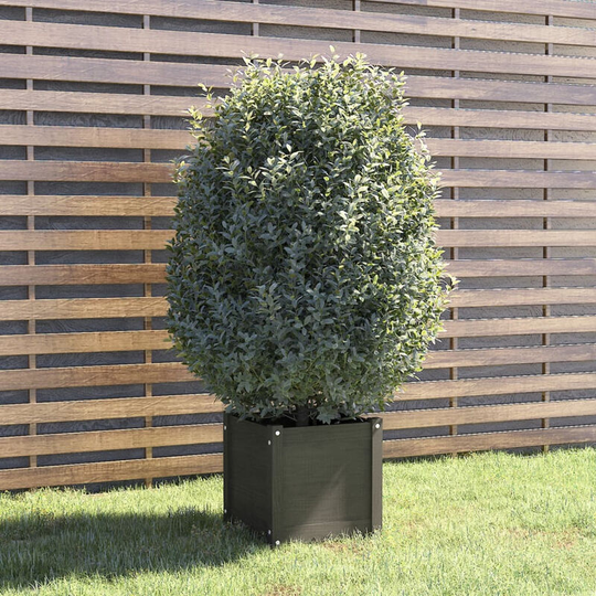 Asupermall - Garden Planter Grey 40x40x40 cm Solid Pinewood