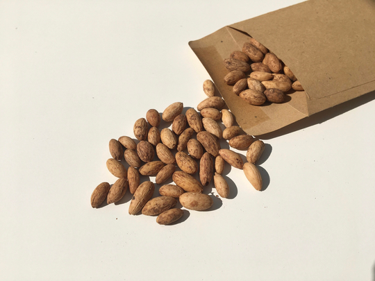 Olive Tree Bonsai Seeds