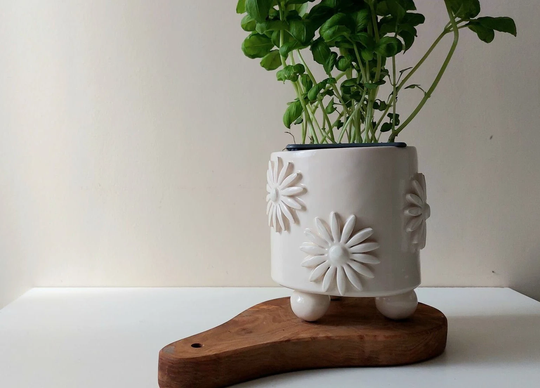 Plant Pot, Indoor Planter, Herb Ceramic Home Decoration