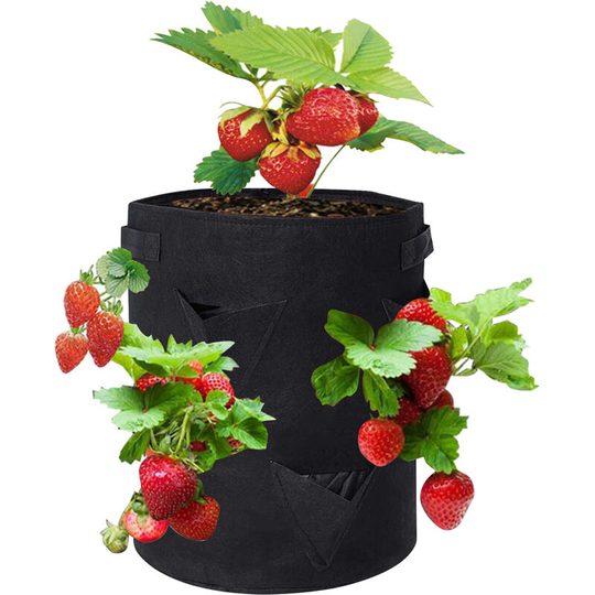 10 Gallon Strawberry Grow Bags with 8 Grow Pouches Planter Box Vegetable Grow Bag - Black