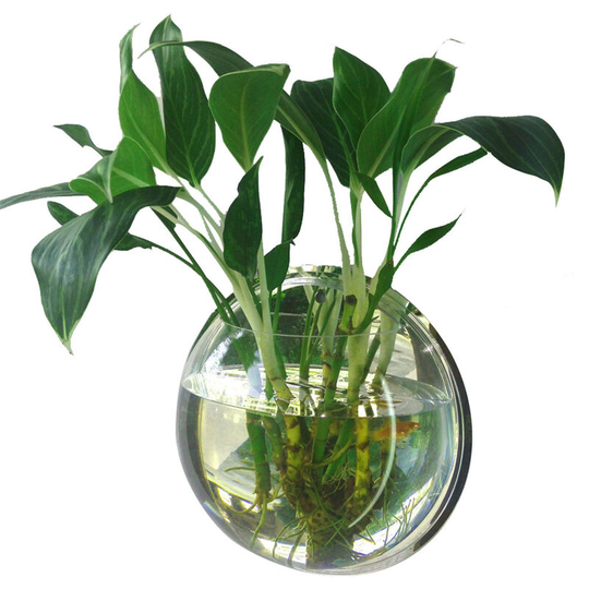 Superseller - Home Decoration Wall Mount Fish Tanks Goldfish Bowl Acrylic Hanging Aquariums Flowerpot Flower Vase