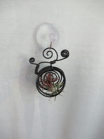 Window Wire Air Plant Hanger Small Black - Tillandsia