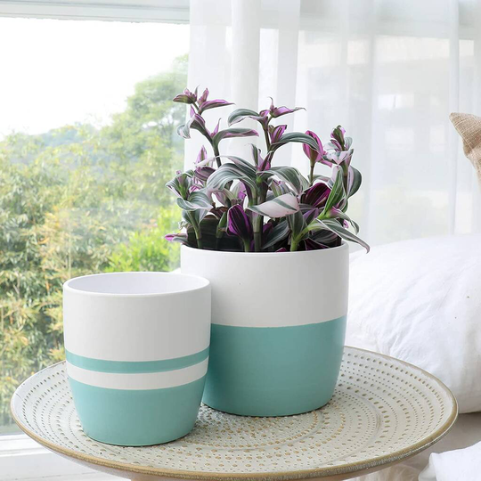 Pack Of Two Modern Minimalist Ceramic Plant Pot Indoor