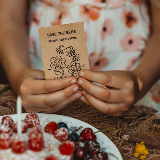 Eco - Friendly Party Bag Fillers. Plastic Free - Favours. Birthday Wildflower Seeds