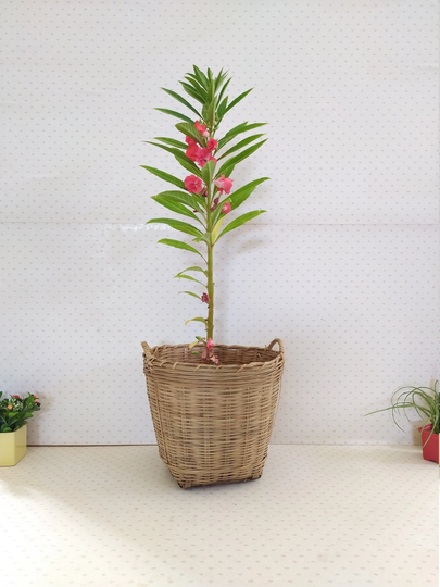 Vintage Wicker Basket, Plant Pot Magazine Rack
