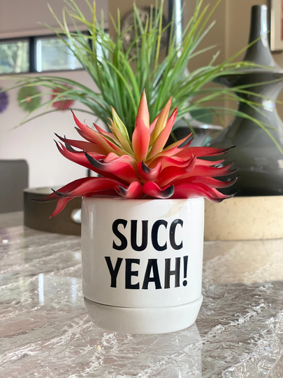 Succ Yeah - Punny Succulent Planter