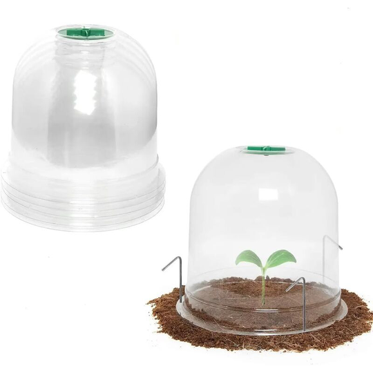 6 Pack Garden Plant Cloche 26cm x 20cm Plastic Mini Greenhouse Plant Dome Cloche Cover