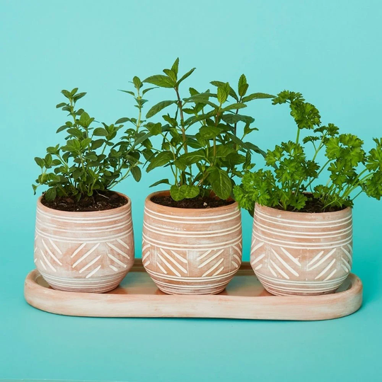 Bangladesh Small Rustic Geometric Round Terracotta Pot Set With Tray