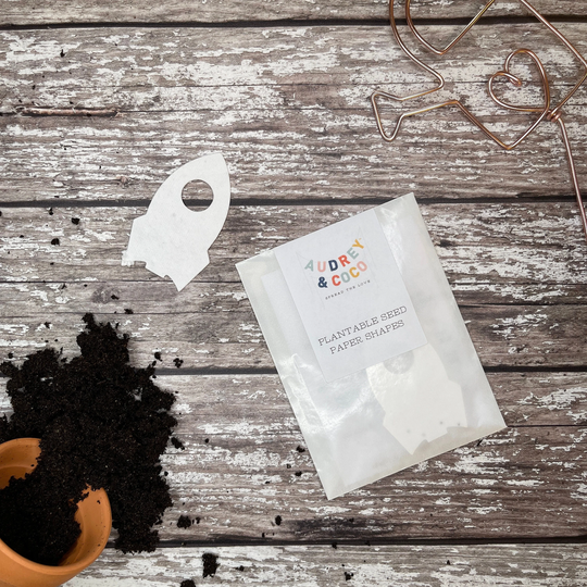 Plantable Seed Paper Rocket Shapes, Eco Friendly Party Favours
