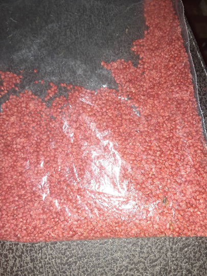 American Cranberry Seeds
