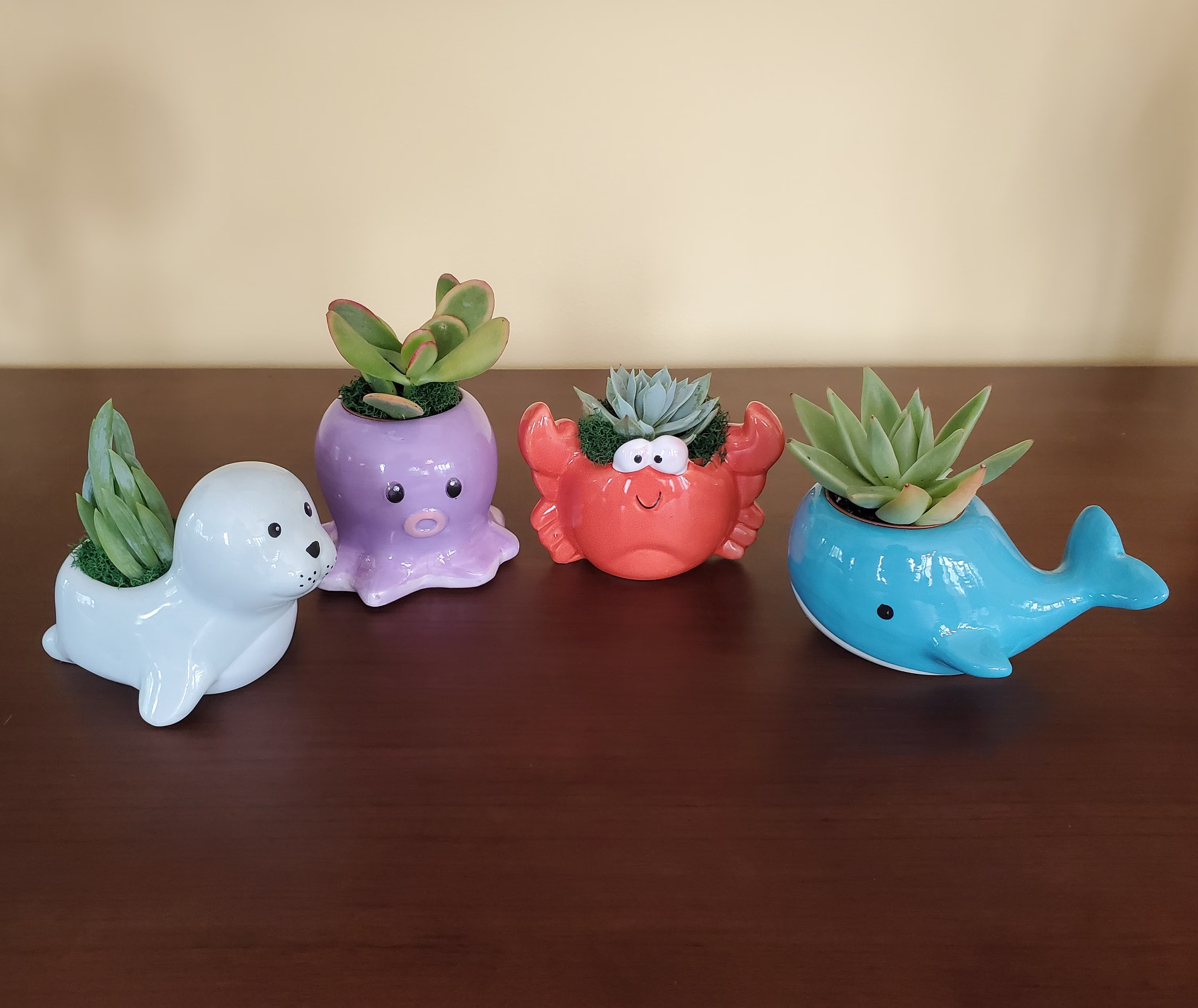 Ceramic Animal Planters With Live Succulents, Gift, Sea Creatures Seaside, Crab Seal Whale Octopus