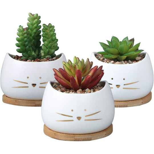3.2 Inch Cute Cat Ceramic Succulent Planter Pots with Removable Saucer Unique Cactus Planters Porcelain Decorative Flower Pot for Cat Lovers Set of 3