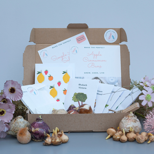 Sustainable Grow Your Own Botany Club Hamper Kit
