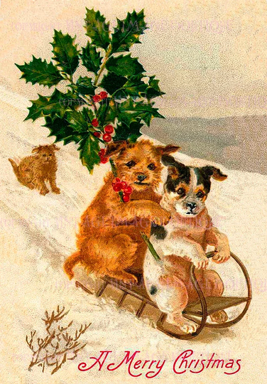 Antique Victorian Illustration Of Three Adorable Terrier Dogs Christmas Season Winter Solstice Holiday 5x7 Greeting Card