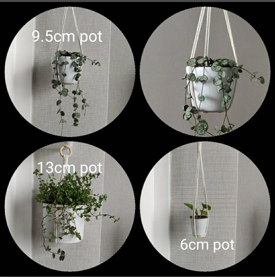Mini Macrame Plant Hanger, Short No Tassel Hanger For Trailing Hanging Plants New Home Gift in The UK