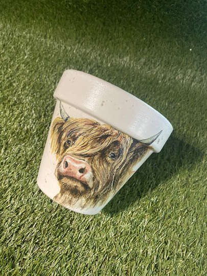 Highland Cow Plant Pot, Gift. 15cm Terracotta Outdoor Planter, Indoor Planter | 34