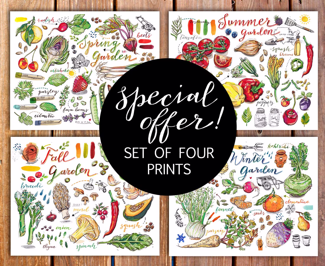 Garden Prints. Gardening. Art. Discount. Food Gift For Gardener. Seasons. Kitchen Decor. Fruit. Vegetables. Illustration