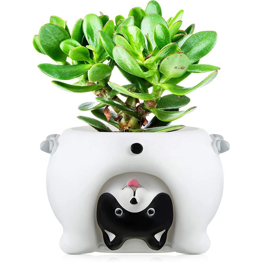 Qersta - Cute Animal Flower Pot Cartoon Flower Pots Mini Succulent Plant Pots Small Cute Resin Plant Pot with Drain Hole, 2.6 Inches (White Dog)