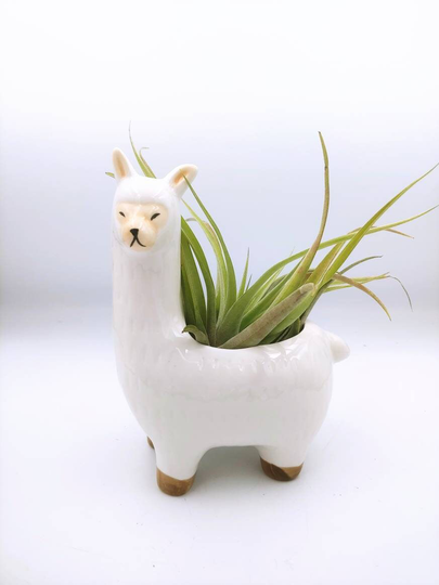 Llama Planter/Unicorn/Planter/Airplant/Plant/Cute Planter/Animal Planter/Home Decor/Office Decor/Dorm Decor/Holiday/Ceramic /Gift/Cute/Llama