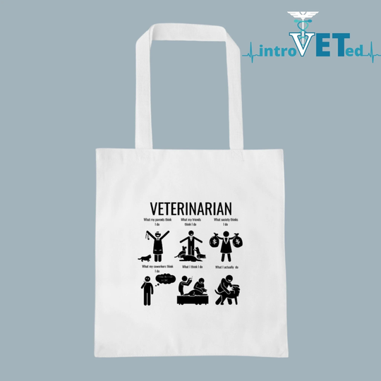 Veterinarian Tote, Veterinary Student Bag, Dvm Bag, Veterinary Medicine, Graduation, Vet Gift, Tote Bag