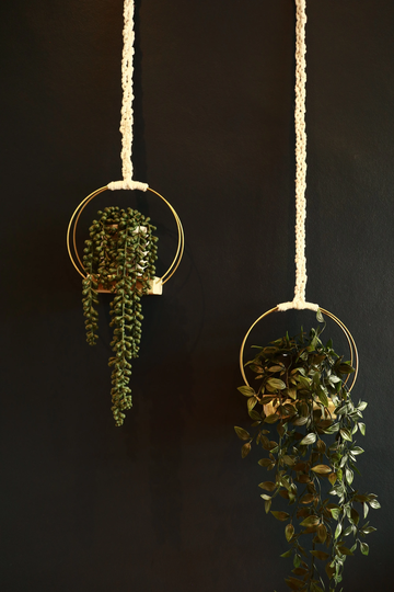 Macrame Handmade Gold Metal Ring Plant Hangers Planter || The Madeira Boho Home Decor Interior Sustainable