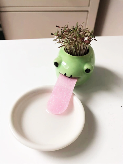 Tiny Drinking Animal Planter, Succulent Self Watering Ceramic Dog Cat Flower Pot, Shipped From Usa
