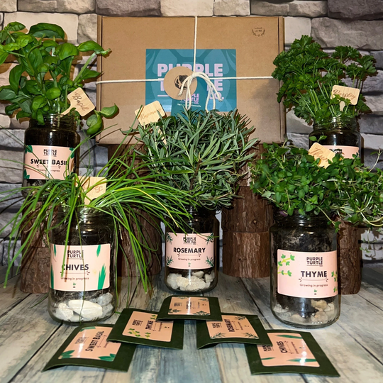 Grow Your Own Herbs + Gift Box | Plant Lovers Gifts For Her Herb Garden Set New Home