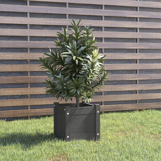 Asupermall - Garden Planter Grey 31x31x31 cm Solid Pinewood