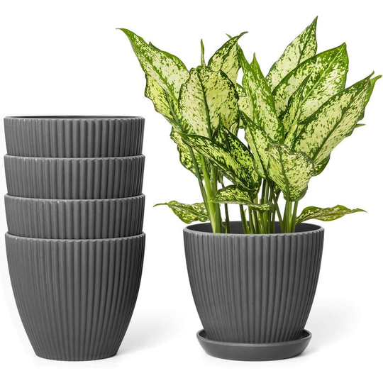 Bearsu - 6 Inch Plastic Planters with Saucers Indoor Flower Pots Set of 5 Modern Decorative Gardening Containers with Drainage Trays for