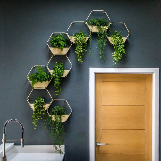 Gold Indoor Wall Planter | Hanging Plant Modular Home Decor Geometric Terrarium UK Made Design Your Own Display Air Holder
