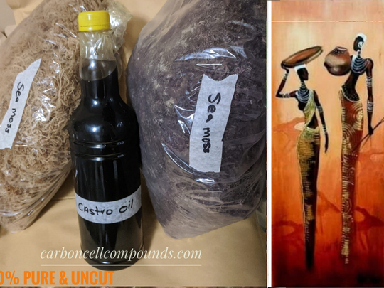 Castor Seed Oil Wildcrafted & Homemade | Origin. Caribbean Mountains Free Shipping