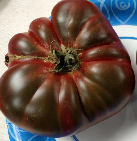 15 Black Krim Tomato Seeds