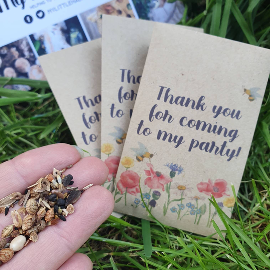 Wildflower Seed Packet X 10 Thank You For Coming To My Party | Pollinators Bees Butterflies Bee Kind Party Favour Save The Bees