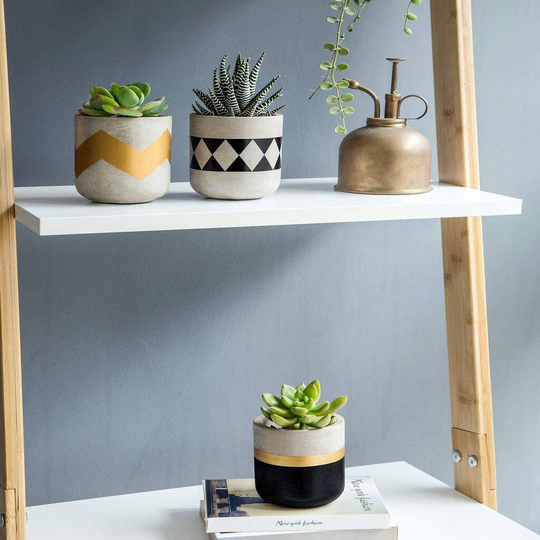 Pack Of Three Cement Succulent Planter For Cactus Herb