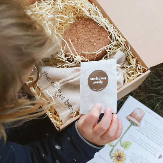 Let's Grow Gigantic Sunflowers Kit