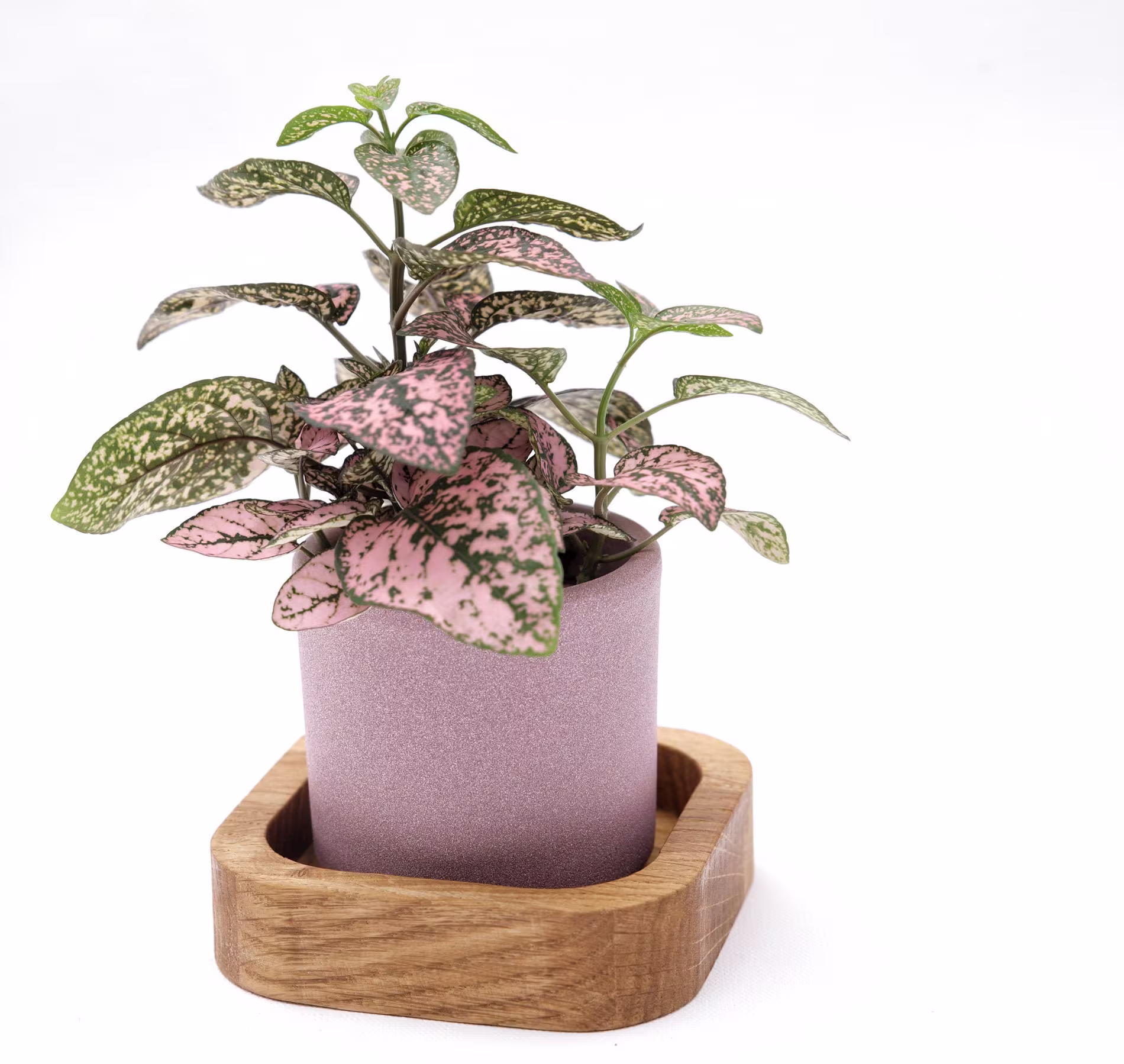 Oak Plant Pot Round Stand - Different Sizes