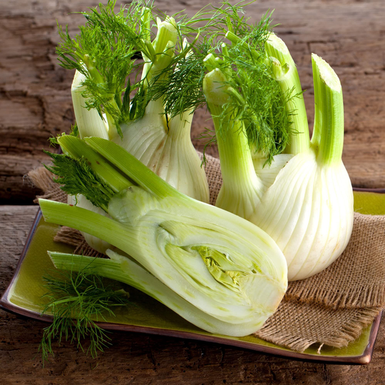 Herb Plants Fennel In 9cm Pots