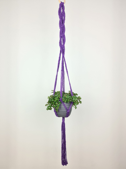 Purple Plant Hanger | Cotton Wooden Ring Hanging Decoration Natural Handmade Boho Violet Flower
