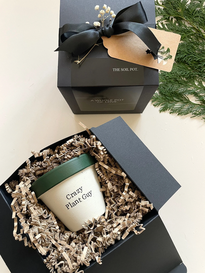 Personalised Plant Pot, Lover Christmas Gift, Pun Planter, Houseplant Quirky Gift Box, Custom Flower Pot