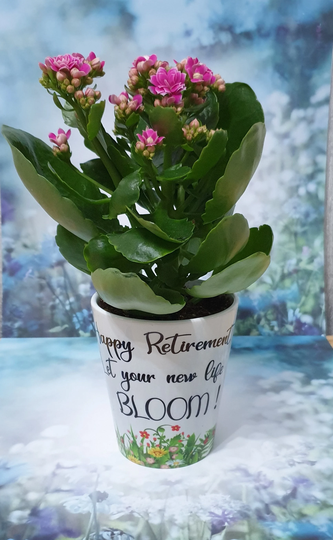 Retirement Gift. Plant Pot Planter Happy Retired Leaving Sorry You Are