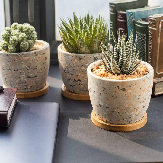 Set Of Three Concrete Terrazzo Planter Pots