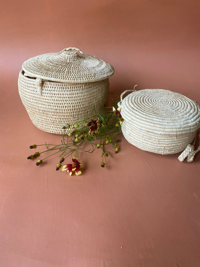 Pair Of Hanging Lidded Coil Baskets Natural Fiber Planters Or Fruit